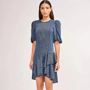 Amur Women's Blue Denim‎ Emery Knee Length Dress size 2